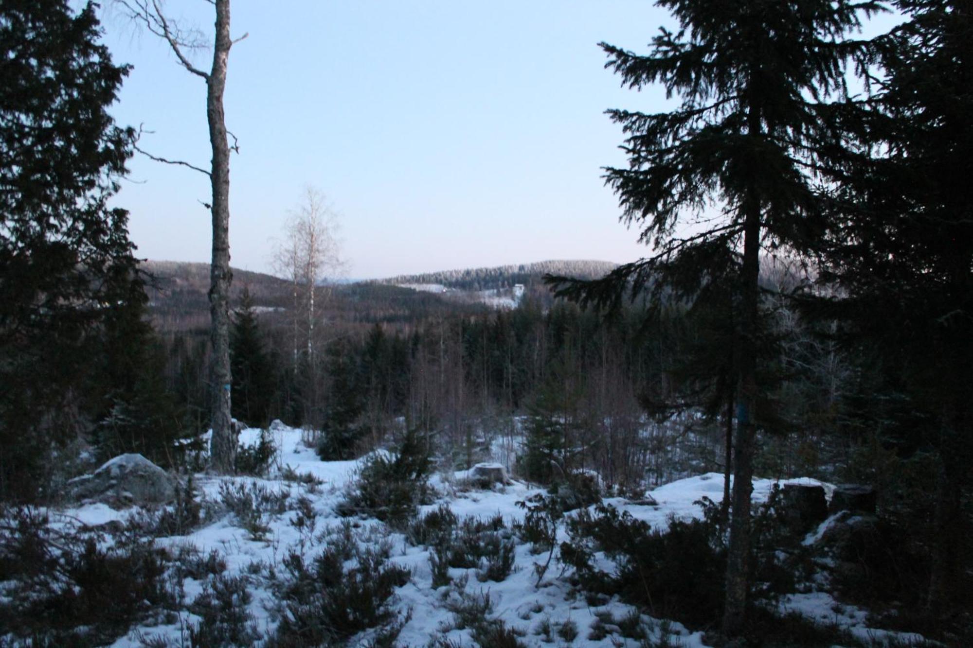 Maatilamatkailu Jaenisvaara Kolinkylä Cameră foto